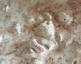 A picture of step 7 of Ice cream dessert.