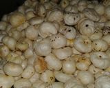 A picture of step 1 of Lotus seed's Kheer.