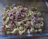 Foto del paso 4 de la receta: 219. Tortellinis de queso con atún y champiñones