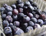 Foto del paso 8 de la receta: Helados para adultos !