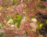 Foto del paso 1 de la receta: Frijoles bayos con carne mechada y repollo