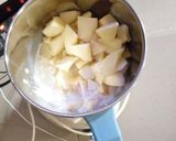 A picture of step 4 of Apple milk shake.