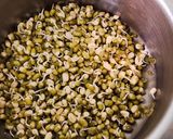 મગ ના પરાઠા(mung parotha recipe in Gujarati) રેસીપી સ્ટેપ1ફોટો