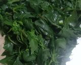 A picture of step 1 of Bathua parotha.