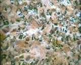 Foto do passo 3 de Filé de Pirarucu gratinado😋🤩