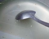A picture of step 2 of Limo Pani.