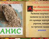 Фото кроку 12 до Фильм "Пряности, Специи и Приправы" - общие положения, классификация, пряность Анис.
