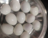 காடை முட்டை மாஸ் (Kaadai muttai mass recipe in tamil) ரெசிபி ஸ்டேப் 1 புகைப்படம்