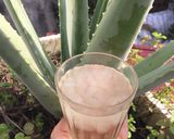 Hình bước làm 3 của món Nước nha đam lá dứa