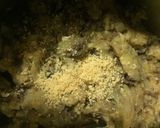 Foto del paso 5 de la receta: Guiso de zapallo italiano