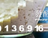 【差不多食譜】免揉麵團 No-Knead Dough的食譜步驟3照片
