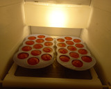 Foto del paso 4 de la receta: 228. Tomate triturado congelado para cocinar
