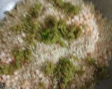 A picture of step 8 of Millet platter.