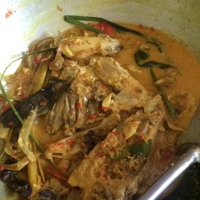Langkah 5