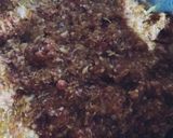 عکس مرحله 1 از دستور ساطریپلو مشهدی