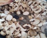 Pulykamell tokány gluténmentesen recept fázis 5 fotója