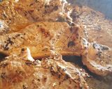 Foto del paso 1 de la receta: Churrasco encebollado