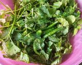 A picture of step 1 of Theekhi Dhaniya Pudina ki chutney.