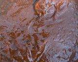 A picture of step 2 of Beef Birria.