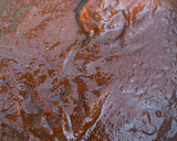 Foto del paso 2 de la receta: Birria de res