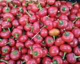 Une image de l'étape 1 de Velouté de légumes anciens🥕🌶️🍅.