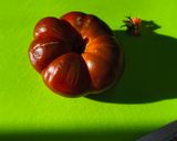 Foto del paso 2 de la receta El mejor sazonador del tomate