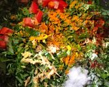 हरी चोलाई के पत्ते चना औऱ उड़द की दाल रेसिपी चरण 3 फोटो