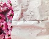 Hình bước làm 3 của món 🌱 Hoa Anh Đào Muối Nhật Bản (Japonais Traditionnel Salé Sakura)