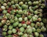 Foto langkah ke 5 dari resep Karedok Leunca Komplit.