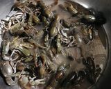 Foto del paso 1 de la receta: Sopa de camarón de Vega