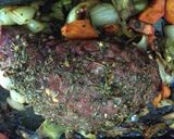 Foto del paso 4 de la receta: Colita de cuadril al horno con finas hierbas