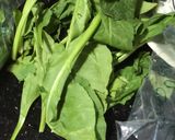 A picture of step 1 of Cream of Broccoli Spinach and Walnut Soup.