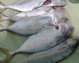 Foto langkah ke 1 dari resep Pesmol Ikan Kembung.