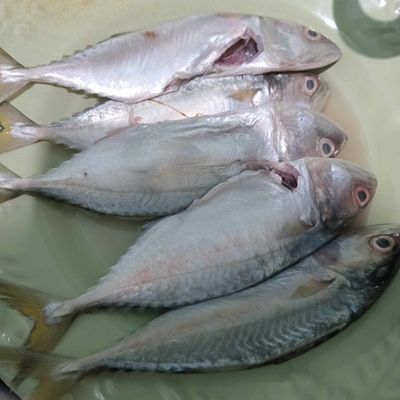 Langkah 1