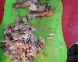 Chicken drumstickmatakin girki1 hoto