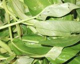 Foto langkah ke 1 dari resep Cah kangkung kecap.