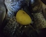 Foto langkah ke 1 dari resep Ikan Goreng Tepung Saus Asam Manis.