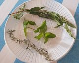 Foto del paso 1 de la receta: Agua fresca con menta, burrito y cedrón 🌿