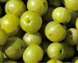 A picture of step 1 of Amla juice.