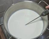 Foto langkah ke 2 dari resep Yogurt Homemade.
