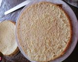 Foto del paso 9 de la receta: Pastel de 3 leches