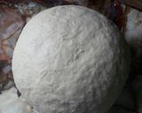 Foto del paso 3 de la receta: Pancitos de leche hokkaido con Tangzhong🎶🌞