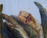 Foto langkah ke 3 dari resep Ikan Lele Marinasi Bumbu Ketumbar (Bumbu Tabur).
