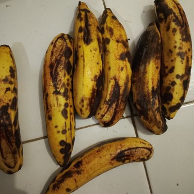 Langkah 1