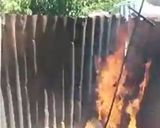 Foto del paso 1 de la receta: Cordero a la asador (paso a paso)