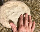 Foto del paso 5 de la receta: Pan integral con centeno (leudado lento)