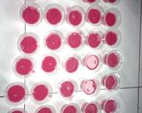 Foto langkah ke 7 dari resep Agar agar pop ice & buah naga.