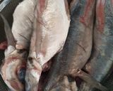 Foto langkah ke 1 dari resep Ikan Cakalang Goreng Oven.