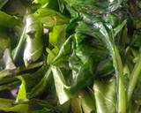 Palak laccha paratha recipe step 2 photo