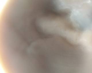 Thai Tea Cendol Selasi - Step 2